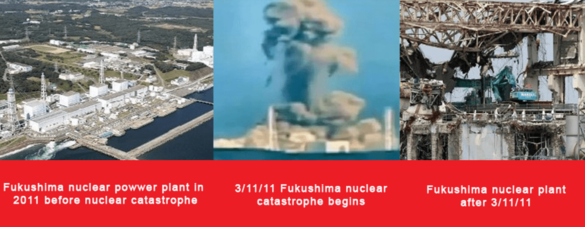 Nuclear Plant Catastrophe